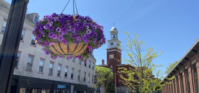 Photo of Biddeford Maine